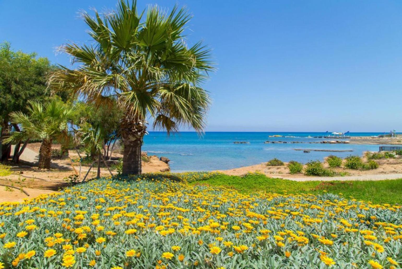 Villa Constantinos Kato Yialia 외부 사진